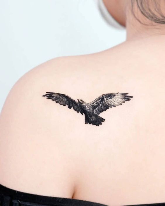 Hawk Tattoo.
