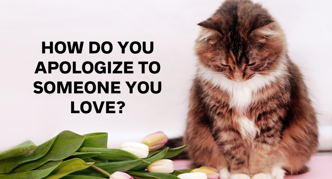 How do You Apologize to Someone You Love