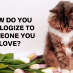 How do You Apologize to Someone You Love