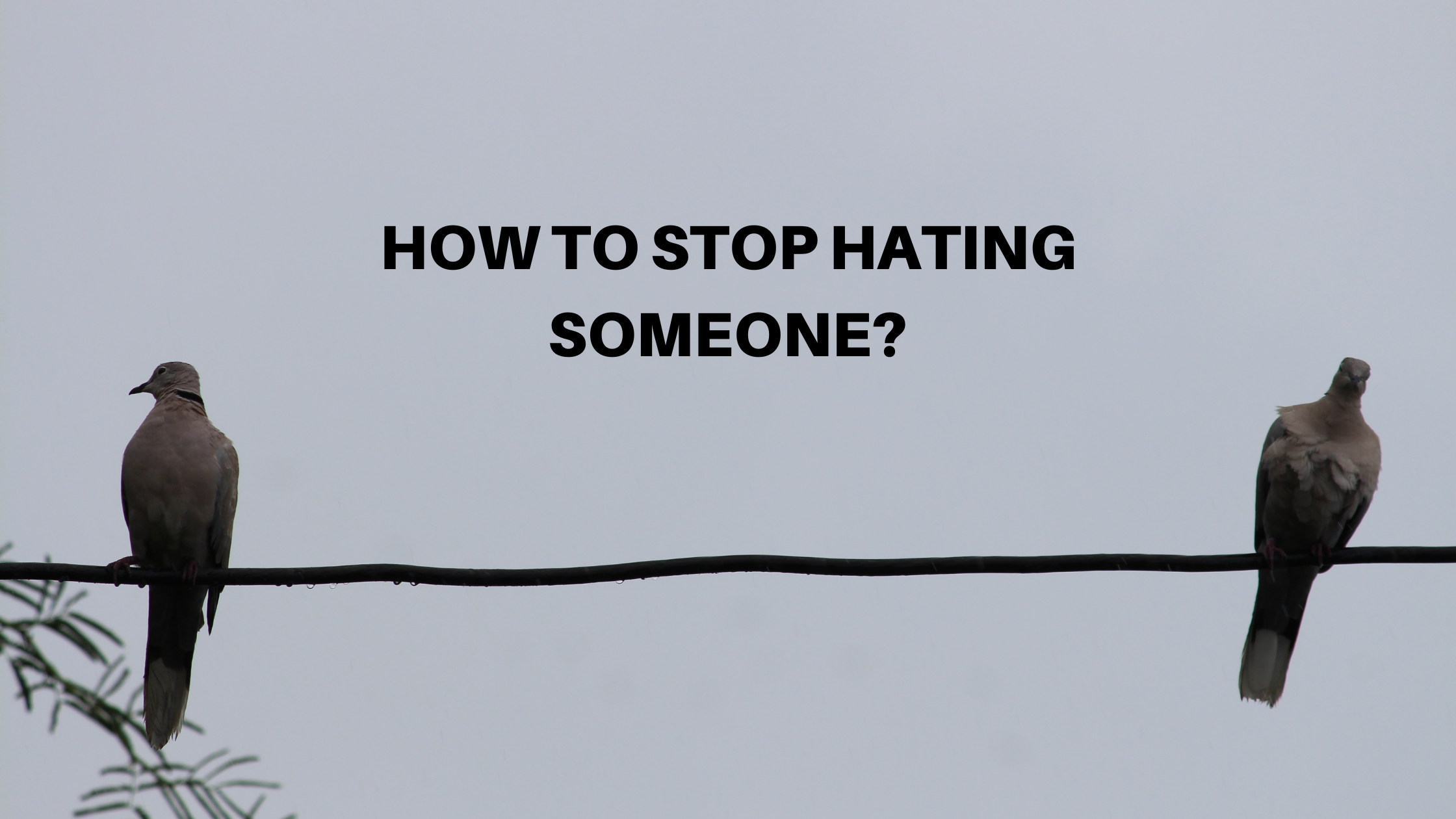 How to Stop Hating Someone