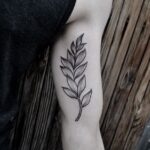Laurel Tree Tattoo