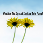 Spiritual Twin Flame