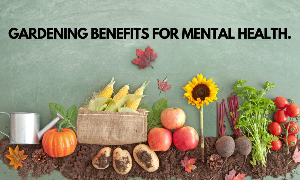 Gardening Benefits for Mental Health