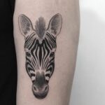 zebra tattoo berkeley