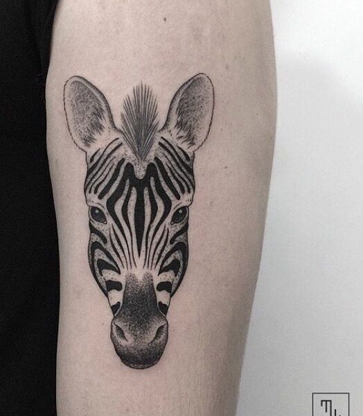zebra tattoo berkeley