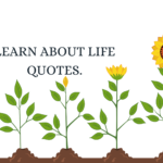 Learn About Life Quotes